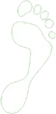 white_foot_global_footsteps